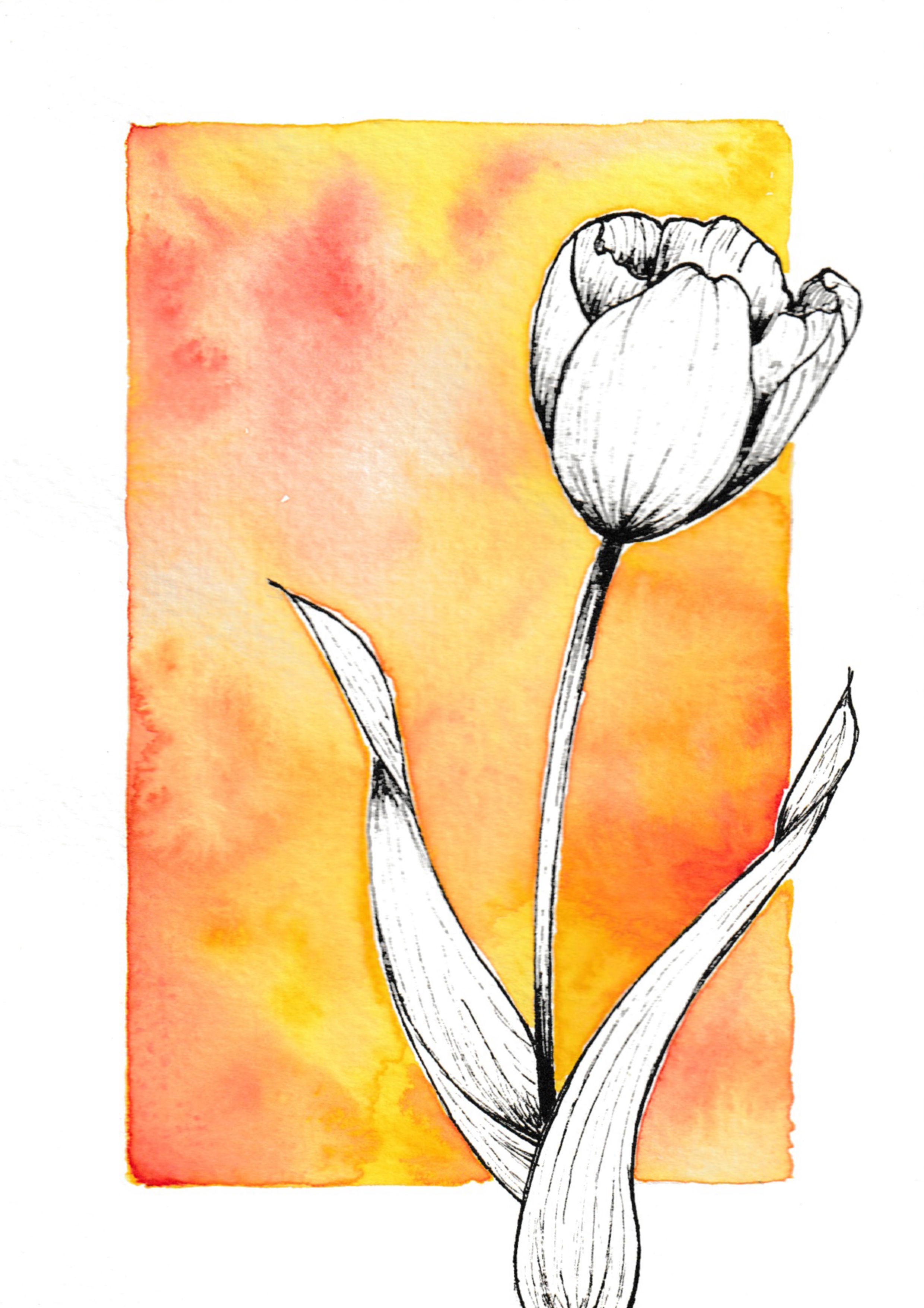 Cartes de vœux fleurs