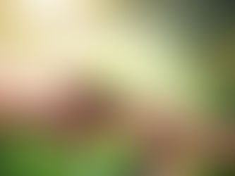 Reforestación Próximo Domingo, 07 de Agosto de 2022.