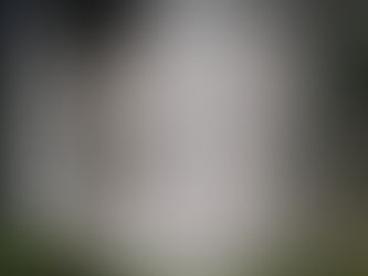 Aplanado interior del Tanque Mado