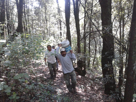 Captación de la Palma.