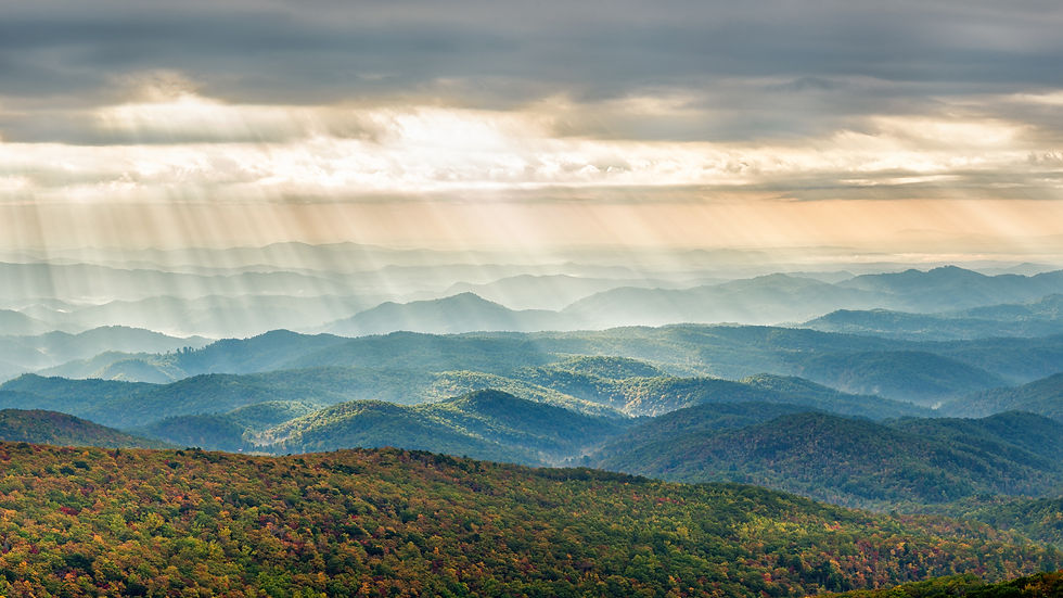 AdobeStock_202188685.jpeg