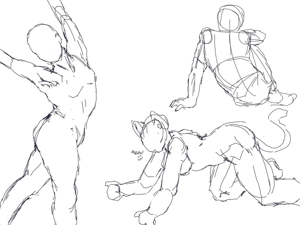 figure studies 1000
