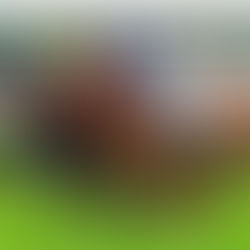 長買長贏賽馬過關基本功 | 最準賽馬貼士及買馬教學,助您贏大錢!