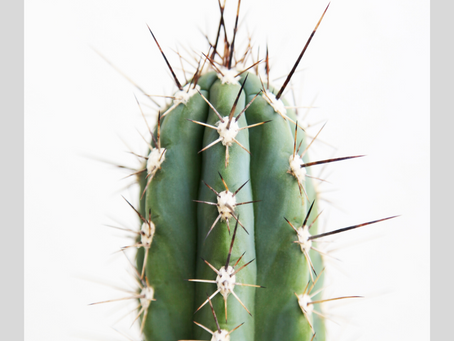 Does Your Chin Hair Feel Like a Pokey Cactus?