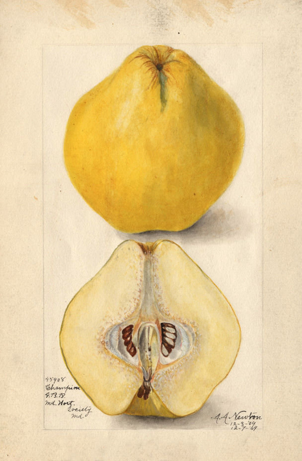 Dominio público, https://commons.wikimedia.org/w/index.php?curid=601149