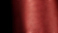 CORONA METALLIC.jpeg