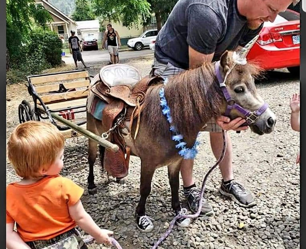 fc67efdc-5db1-4213-9b7d-8ce2d5e8092f