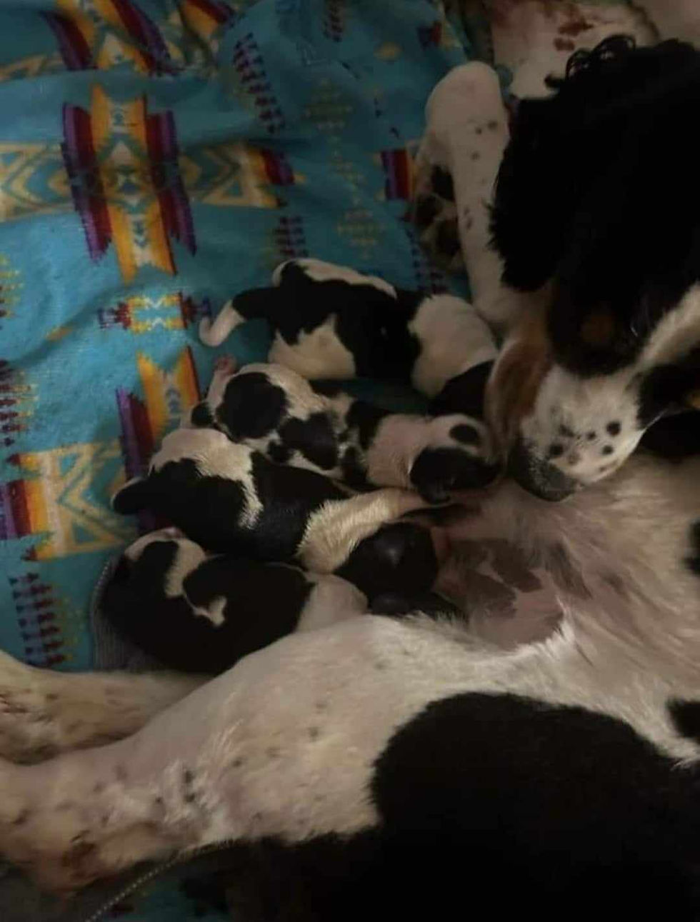 11