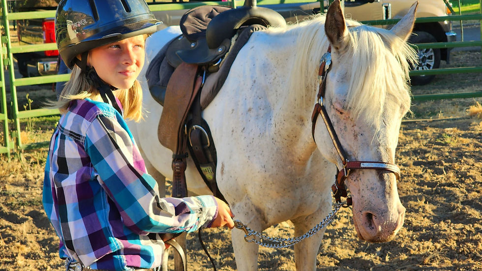 66a4370b-8cff-499a-a30d-453fc7bcd089