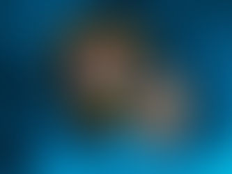 Rock Island Police Department badge