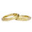 Thumbnail: Slim Gold Pet Nose Print Rings