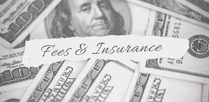 Fees & Insurance_edited.jpg