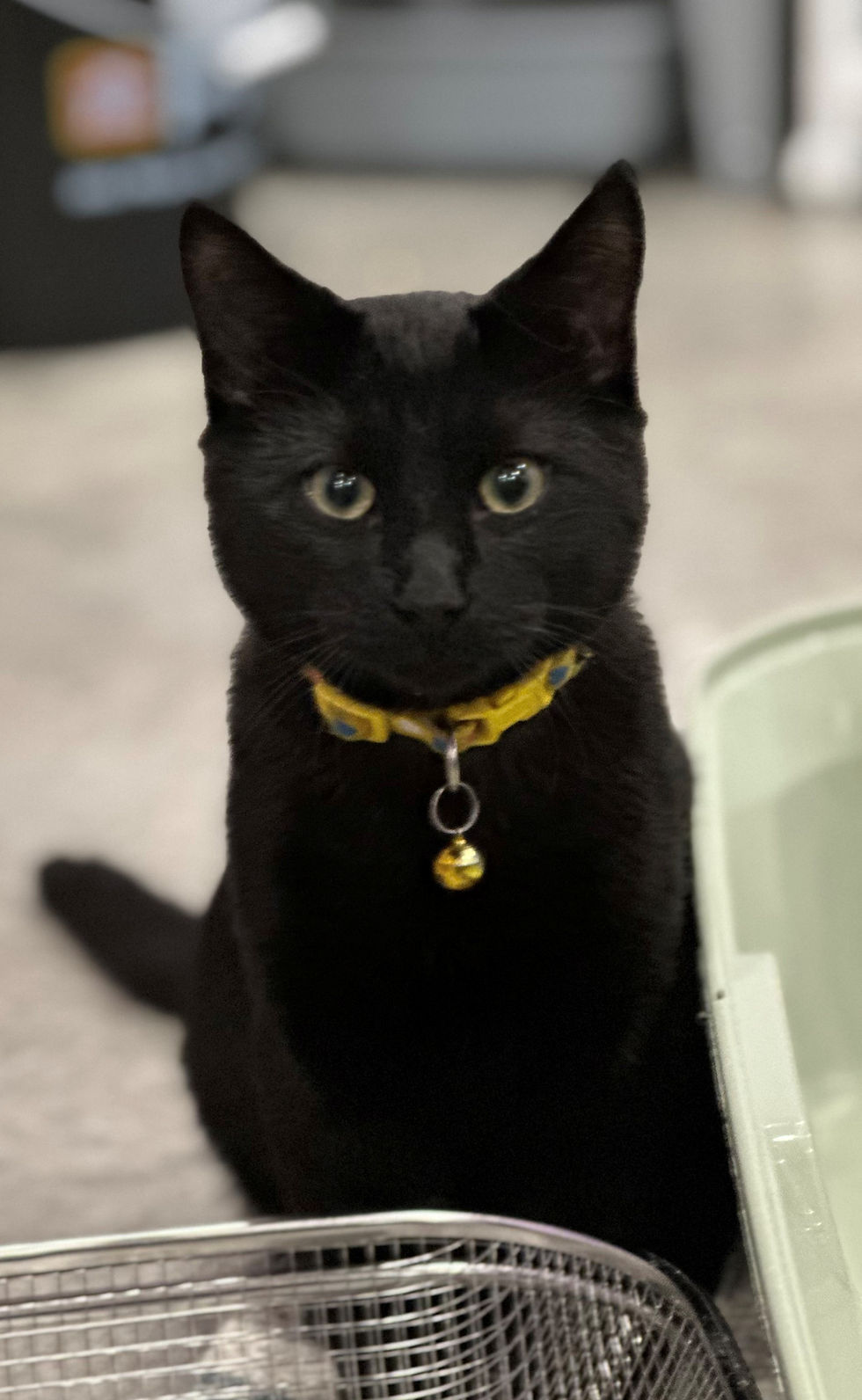 Ben