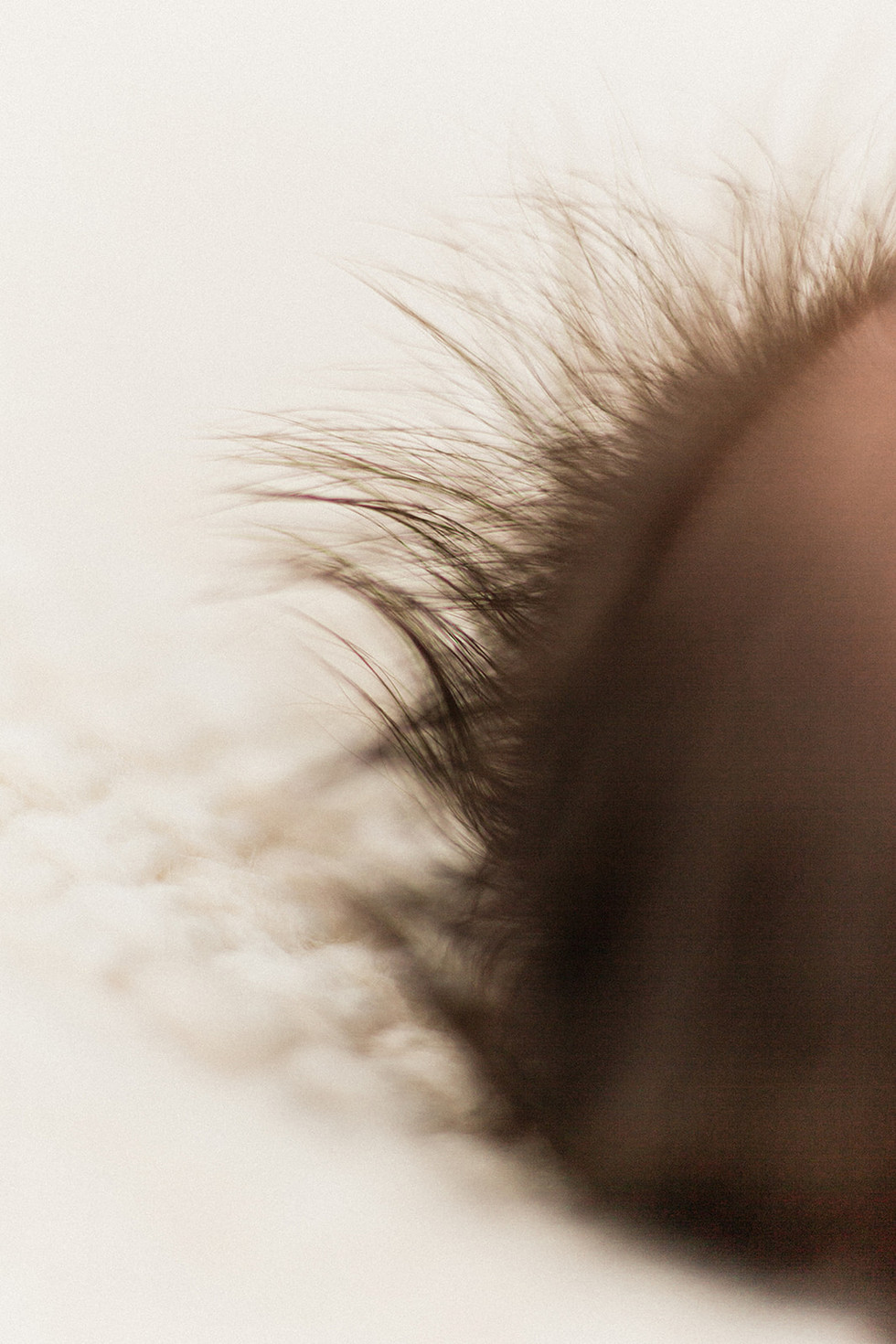 Newborn baby hair