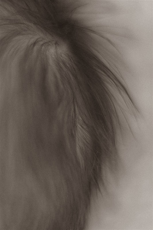 Newborn, baby hair