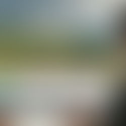 Emergent Metals $EGMCF / $EMR — Simple Investment Case Big discount: Trading at ~75% below book value