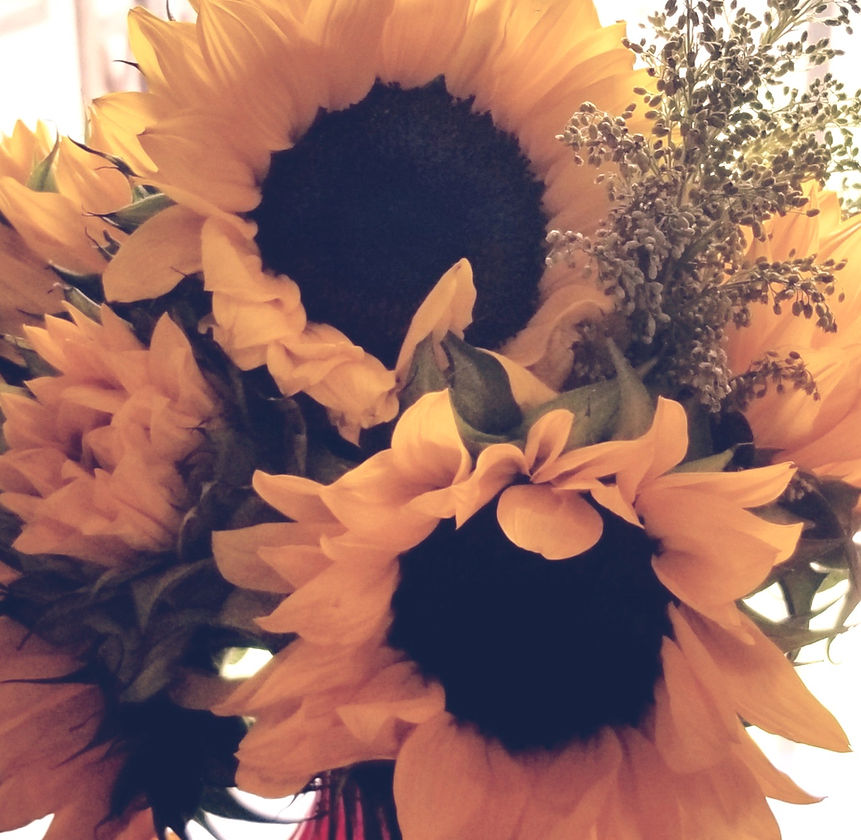 20190622_135106_edited_edited.jpg