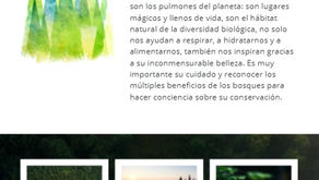 DESAFIO KYKLOS DE LA SEMANA