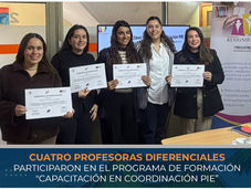 Capacitación en Coordinación PIE