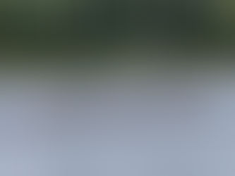 Deutsche Juniorenmeisterschaften 2025