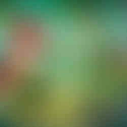 kreslený červený dinosaurus