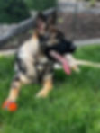 Oskar.jpg