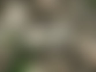 Easter – Dying to Come to Life