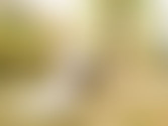 Aimee + Brian's Wedding // Shady Acres, Osceola, WI // September Farm Wedding