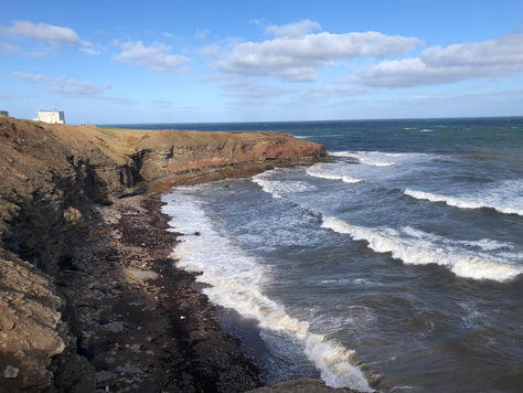 MDS Canada returning to Cape Breton