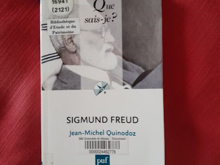"Sigmund Freud" de Jean-Michel Quinodoz