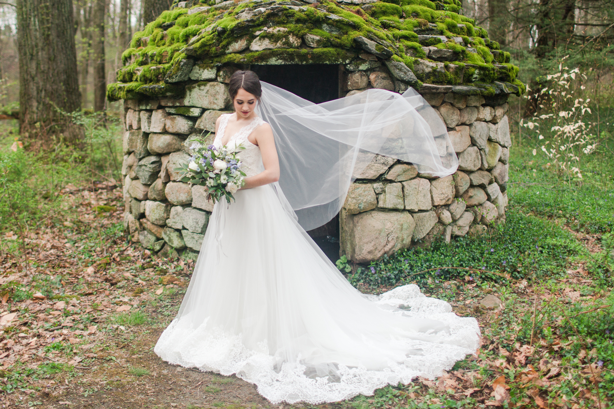Shaina Lee Photography