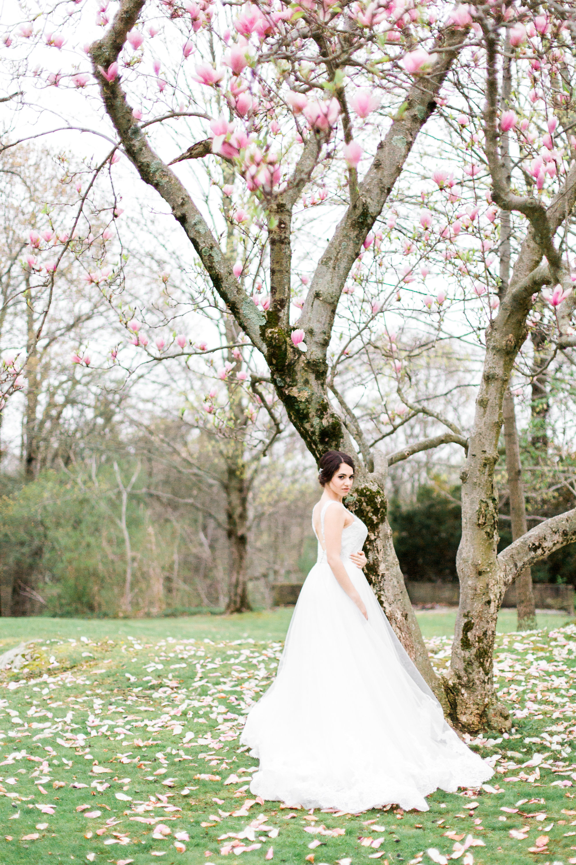 Kristina Staal Photography