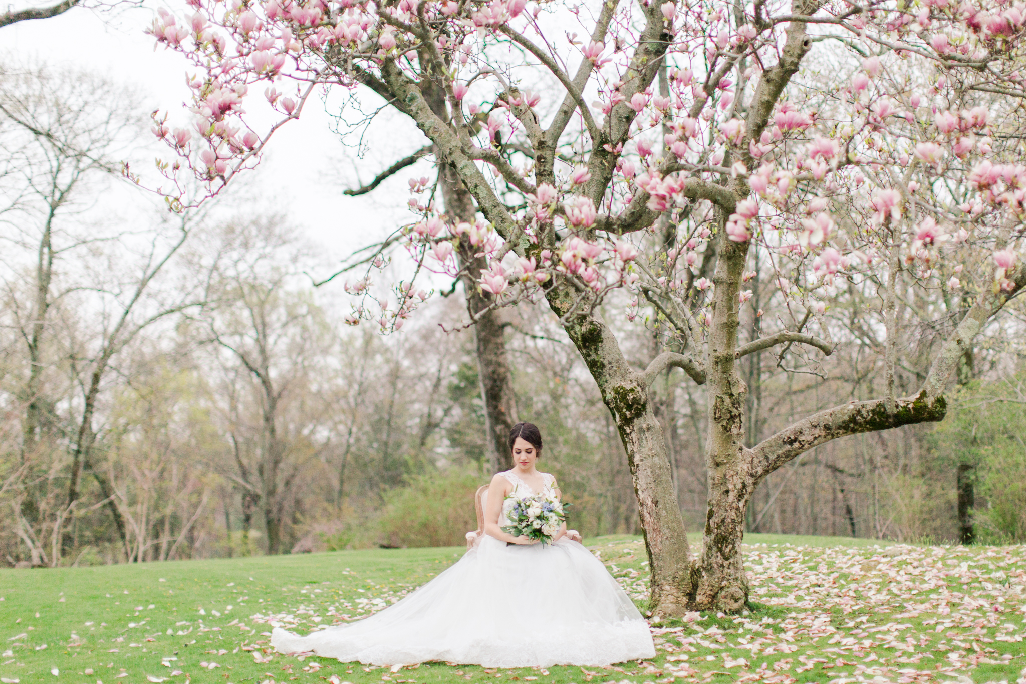 Shaina Lee Photography