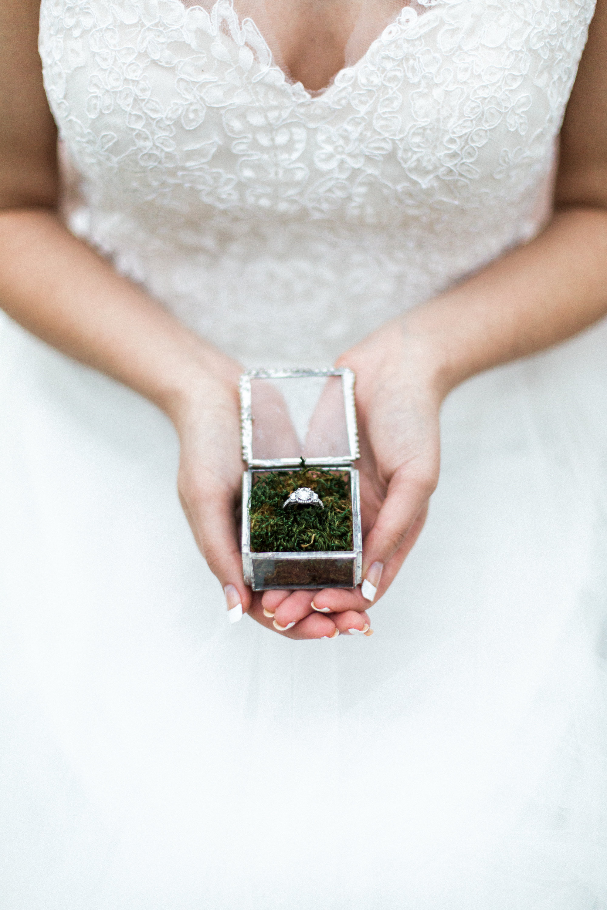 Kristina Staal Photography