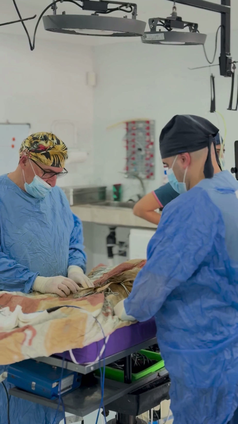 VETERINARIA PARANÁ.mp4