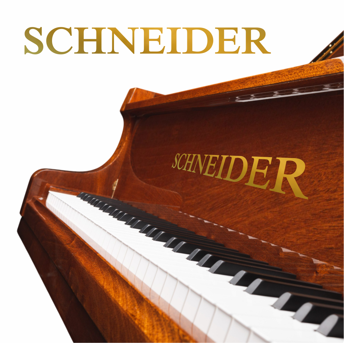 Adesivo Piano Schneider Reforma Verniz Pn021