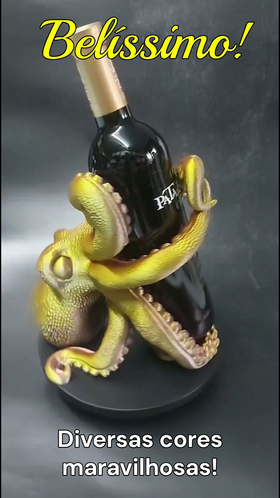 Miniatura: Suporte Garrafas De Vinho Polvo Sommelier