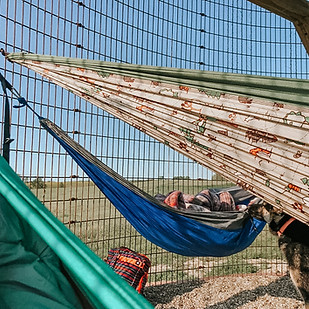 Screenshot 2025-06-05 at 12.58.20 PM.jpg