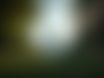 Essential Guide to Small Business Law in D.C.