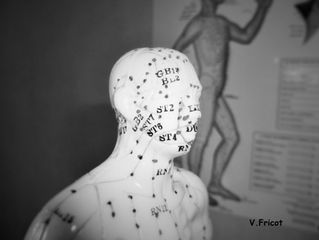 Le Qigong Tuina