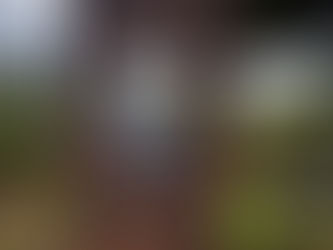 Tag 19 bis Palas de Rei