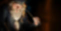 home dumbledore.jpg