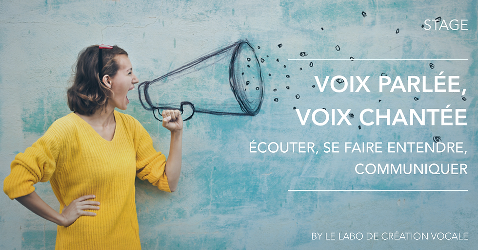 Stage Voix parlée, Voix Chantée