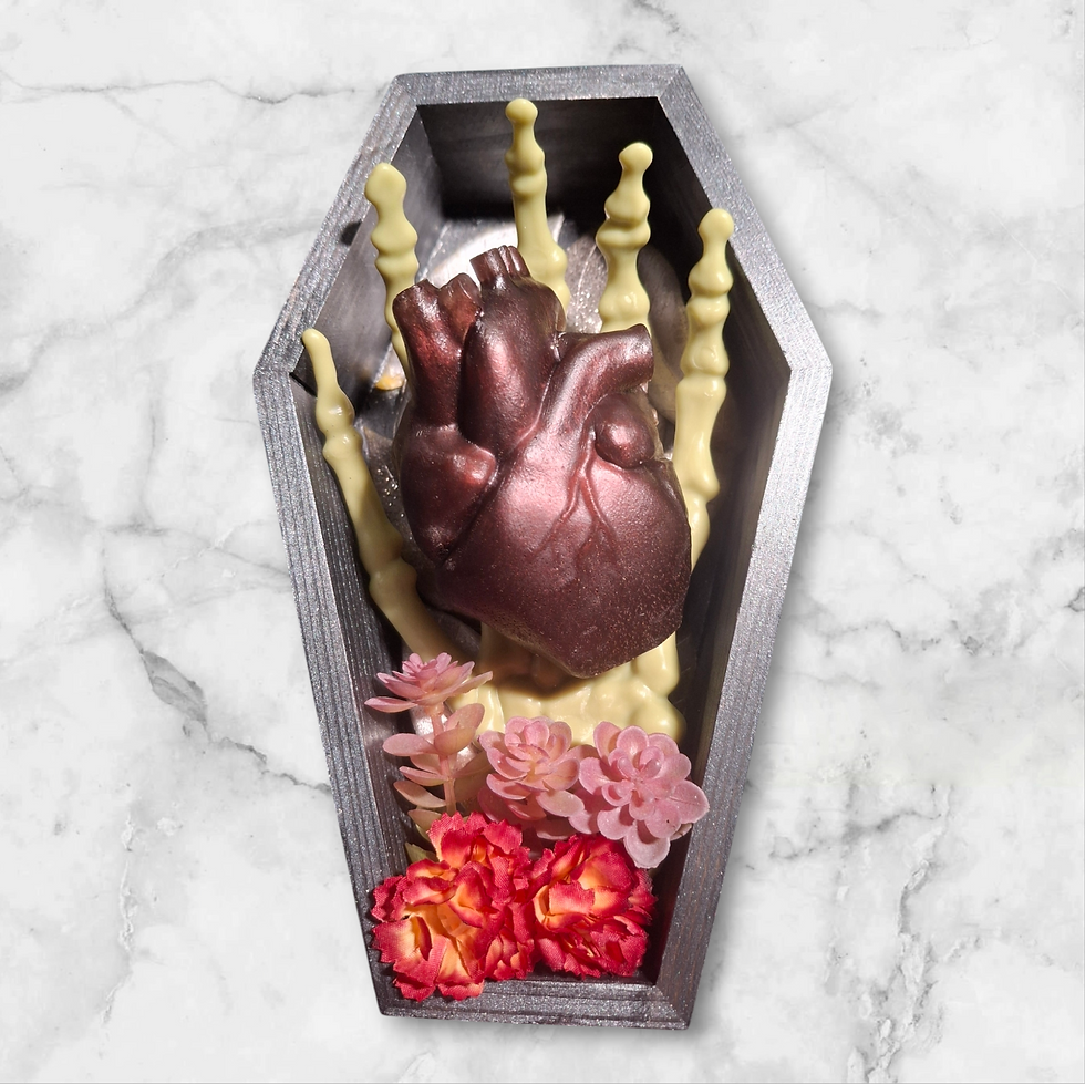 Thumbnail: Coffin Anatomical Hearts