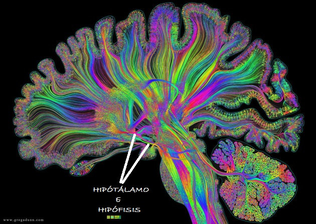 El trabajo de Greg Dunn y Brian Edwards en el Franklin Institute de Philadelphia