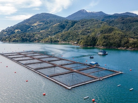 Kumerr y su Presencia en Aqua-Sur: Apoyo a la Industria Acuícola