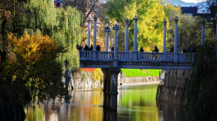 The MIPS  2015 Annual Meeting is just around the corner!