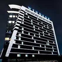 windsor hotel.webp