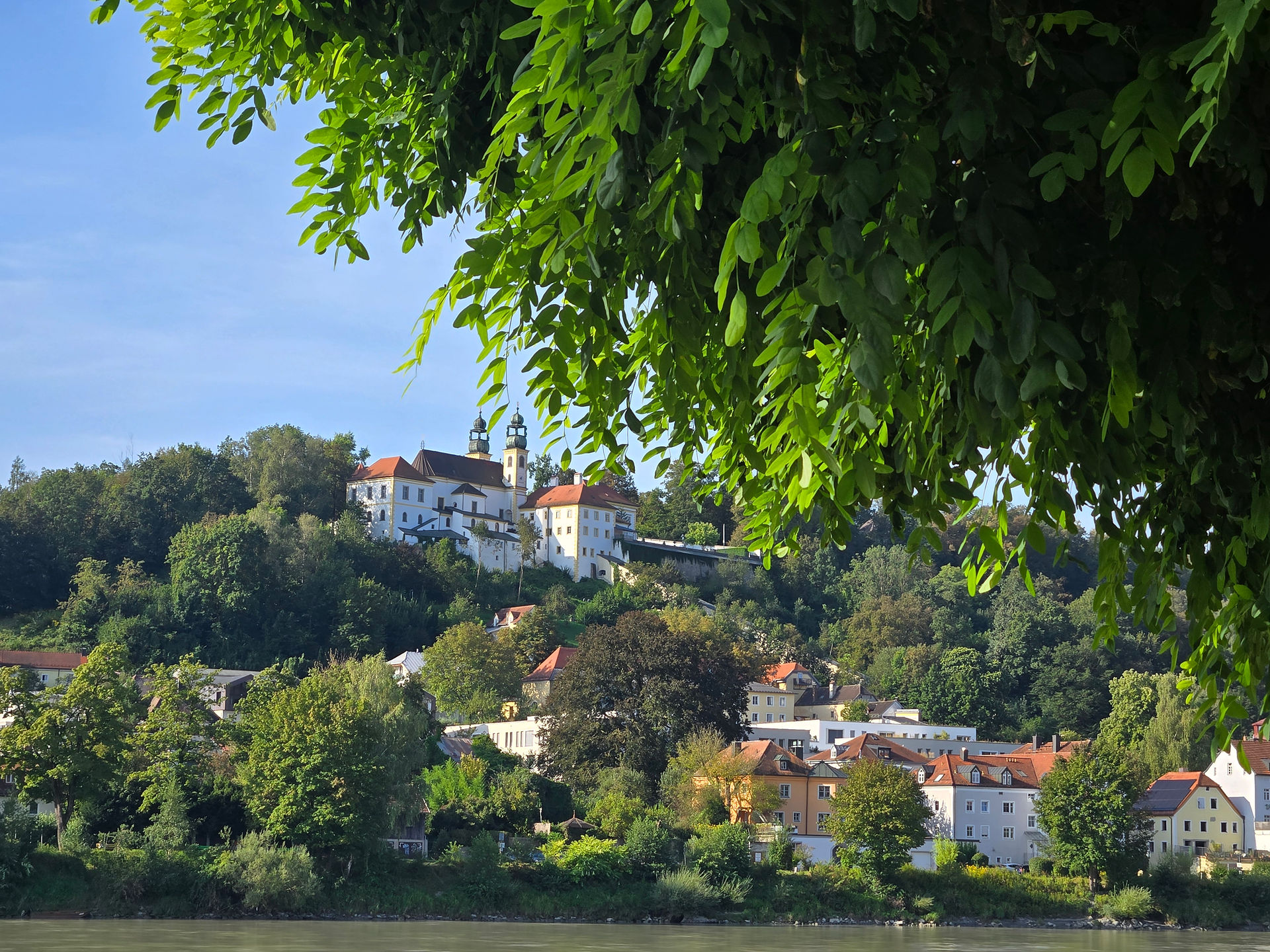 Passau castle on hill with tree in foreground