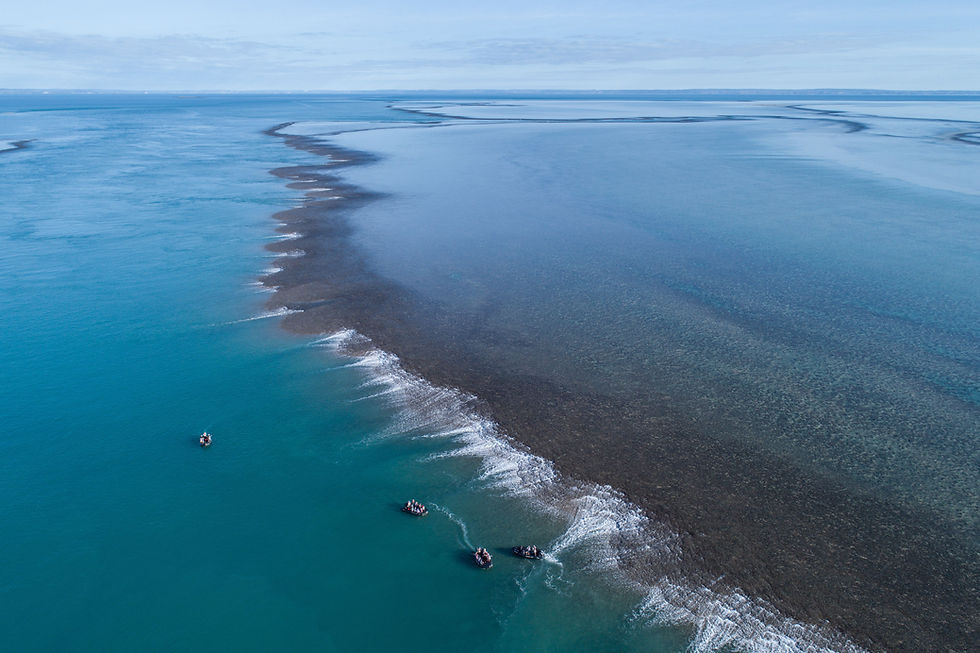 Montgomery Reef tidal waterfall phenomenon Kimberley Coast Australia